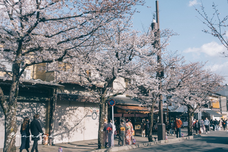 日本【京都】嵐山賞櫻攻略+嵯峨野小火車